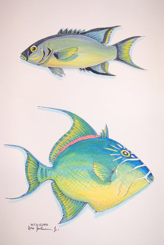 Trigger Fish Watercolour